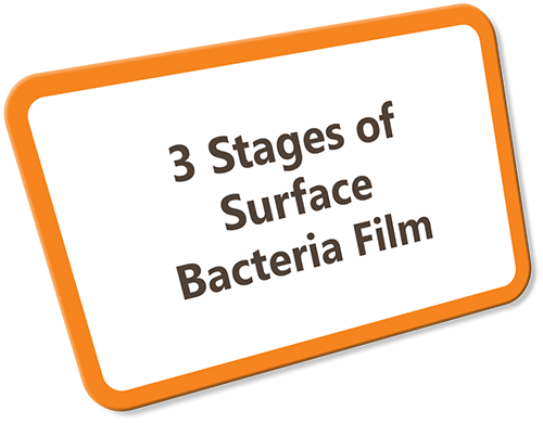 3 Stages of Surface Bacteria Film Group Image